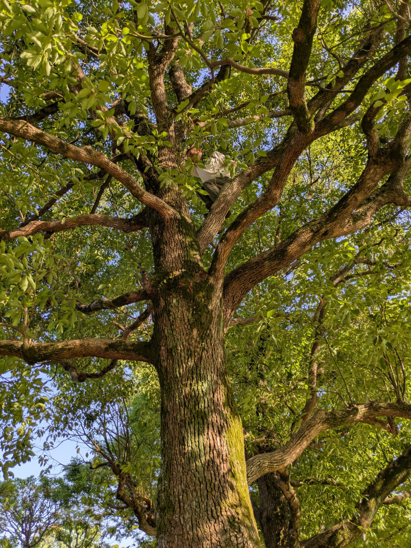 2025.06.11 20:46　新人歓迎会