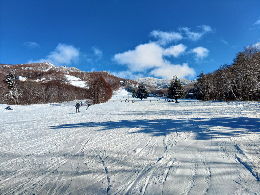 2025.01.07 21:58　本年もよろしくおねがいします