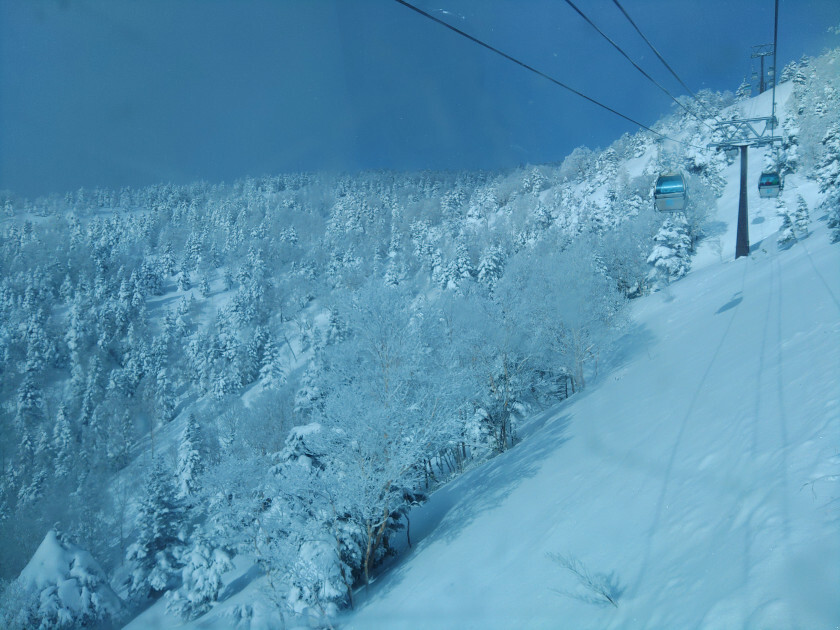 2025.01.07 21:58　本年もよろしくおねがいします