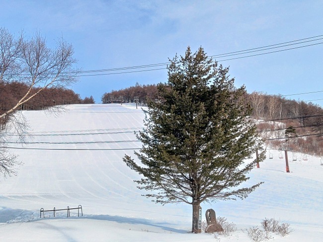2024.04.06 17:44　4月に入りました