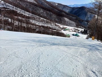 2023.03.22 22:20　冬オワタ