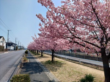 2023.03.22 22:20　冬オワタ