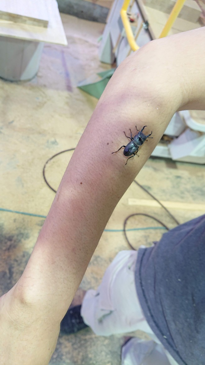 2022.05.31 23:33　会社行事