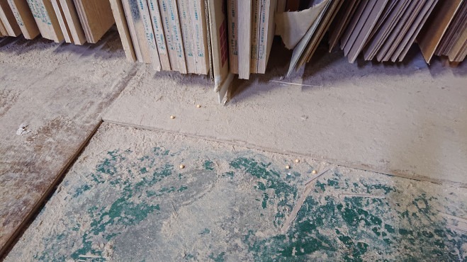 2022.05.31 23:33　会社行事