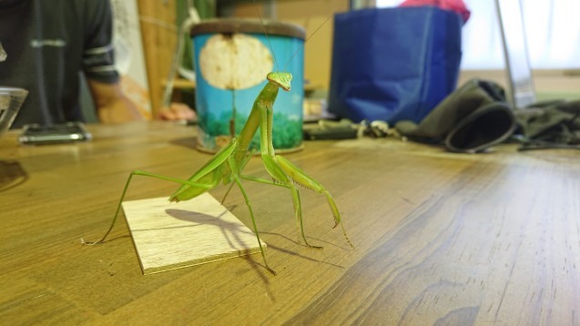 2021.09.01 00:22　買い物　行きました