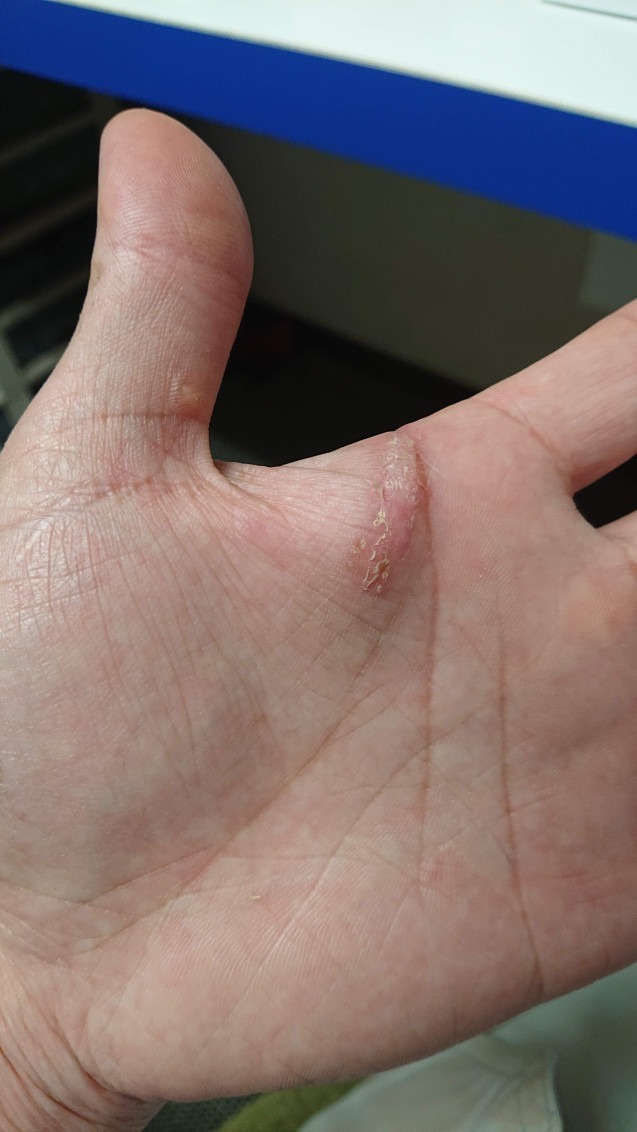 2021.04.27 00:32　新しい仲間が出来ました