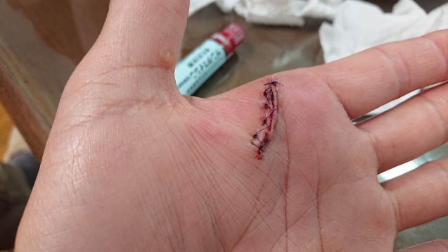 2021.04.27 00:32　新しい仲間が出来ました