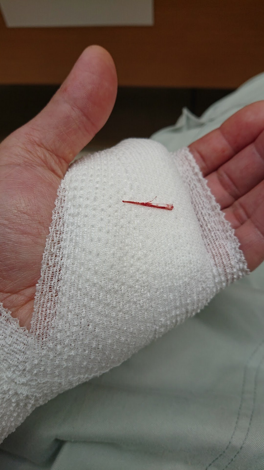 2021.04.10 23:43　トゲ